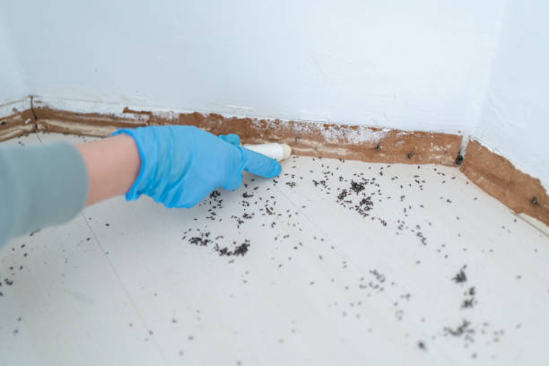 Grandview Plaza, KS Pest Control Pros